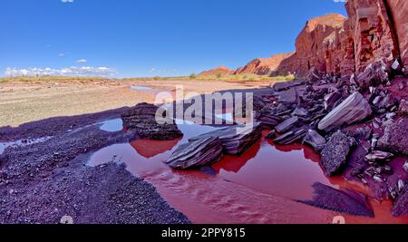 The red water of Lithodendron Wash in Petrified Forest National Park Arizona. The red color is from the bentonite clay in the surrounding hills. Stock Photo