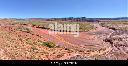 Lithodendron Wash viewed from the summit of Squared Off Butte along the Onyx Trail in Petrified Forest National Park Arizona. Stock Photo