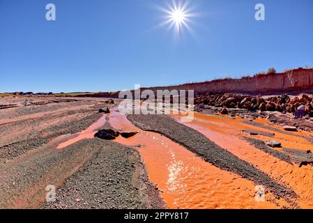 The red water of Lithodendron Wash in Petrified Forest National Park Arizona. The red color is from the bentonite clay in the surrounding hills. Stock Photo