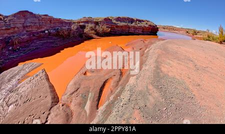 The red water of Lithodendron Wash in Petrified Forest National Park Arizona. The red color is from the bentonite clay in the surrounding hills. Stock Photo