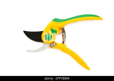 Garden secateurs isolated on a white background. Stock Photo