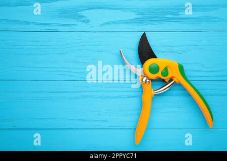 New yellow gardening secateurs on a blue wooden background. Top view. Stock Photo