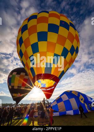 Ground level view of a hot air balloon lifting off at Sunrise, Albuquerque International Balloon Fiesta, New Mexico Stock Photo