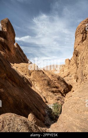 Rock formations known as monkey fingers in the Dades Valley. Stock Photo