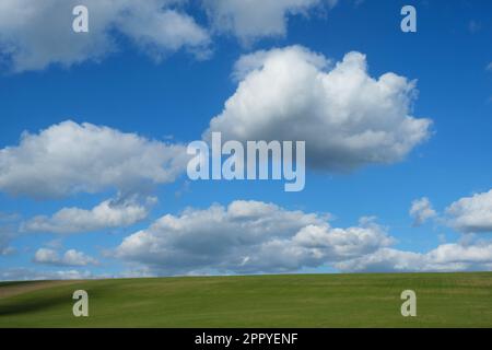 Wispy cumulus clouds against a blue sky - John Gollop Stock Photo