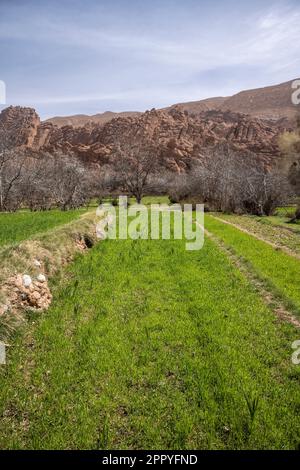 Planted fields near the rock formations known as Monkey Fingers. Stock Photo