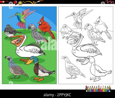 Opila bird coloring page hi-res stock photography and images - Alamy