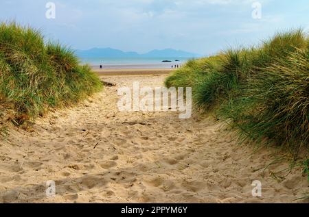 A tranquil beach at Llanddwyn, the stunning sky and sea contrasting with the sand dunes and marram grass for a peaceful natural environment Newborough Stock Photo