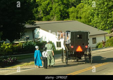 In Amish country in Ohio, An Amish family walks beside a family in a horse drawn buggy Stock Photo