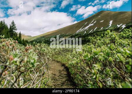 A scenic view of a path meandering through a serene mountain landscape, with majestic peaks visible in the background Stock Photo