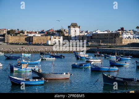 Blue fishing boats anchored in the port of Asilah. Stock Photo