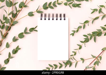 Eucalyptus branches and empty notepad mockup on a beige background. Stock Photo