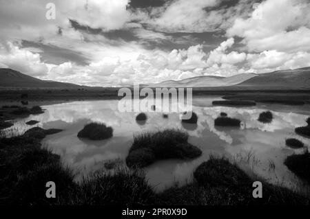 CLOUDS reflect in stream as YAKS graze on the TIBETAN PLATEAU - Southern route to MOUNT KAILASH, TIBET Stock Photo