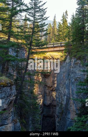 Second bridge along Maligne Canyon walk at sunrise, Jasper national park, Canada. Stock Photo