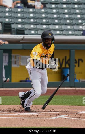 Salt Lake Bees  New D7000 user