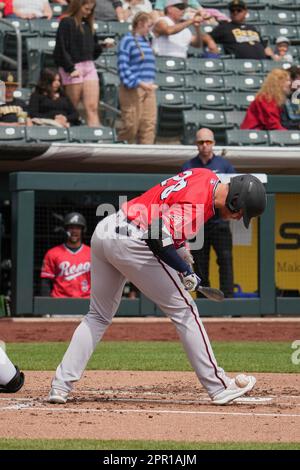 Salt Lake Bees  New D7000 user