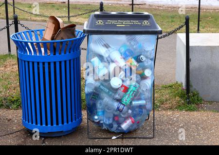 A trash can and a recycling bin. The designated recycling container filled with plastic bottles, cans, and non recyclable coffee cups and trash. Stock Photo