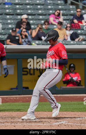 Salt Lake Bees  New D7000 user