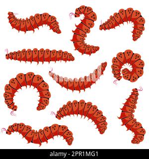 Red Cartoon Caterpillars Isolated on White Background. Cute Summer Insects. Small Maggot Move. Butterfly Life Cycle. Stock Vector