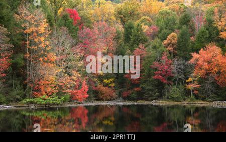 Fall color reflects in Bays Mountain Park, Kingsport, Tennessee.  Glassy surface gives mirror reflection. Stock Photo