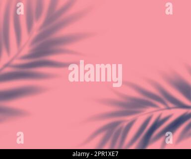 realistic transparent shadow from leaf palm tree pink background Stock Vector