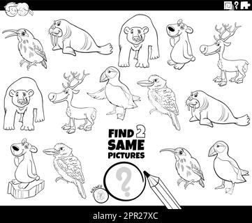 find two same animal characters task coloring page Stock Vector