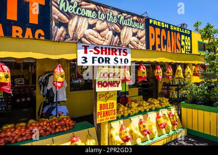 Florida tourist trap featuring Indian River Citrus, fresh pecans, gator jerky, fireworks and souvenirs along I-95 and U.S. 1 in St. Augustine, FL. Stock Photo