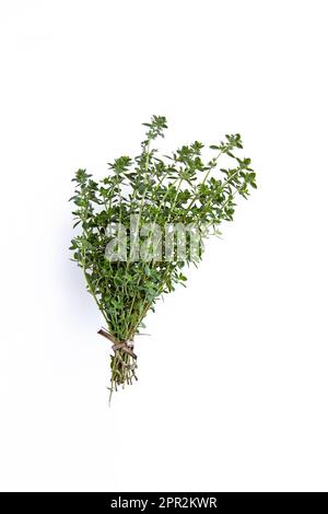 Fresh thyme bunch isolated on white background Stock Photo