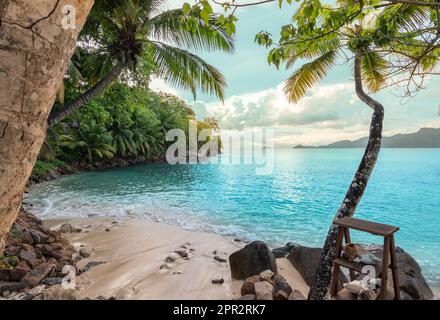Tropical beach with palm trees on Mahé Island, Seychelles. Stock Photo