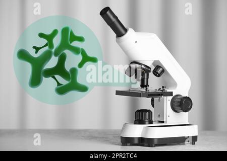 Lab Germs Test Image Examination of sample with germs and bacteria under microscope in ...