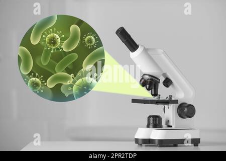 Lab Germs Test Image Examination of sample with germs and bacteria under microscope in ...
