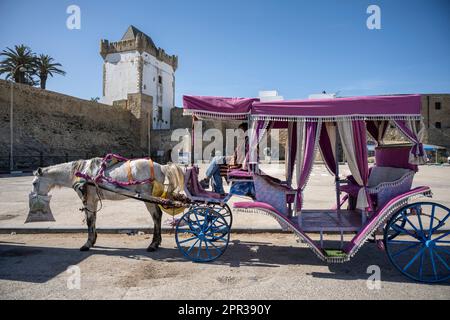 Carriage decorated to take tourists through the streets of Asilah. Stock Photo