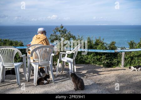 Muslim old man sitting on a terrace, surrounded by cats, looking at the sea in the Strait of Gibraltar. Stock Photo