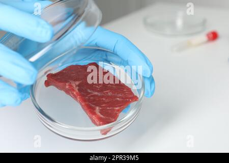 Scientist holding Petri dish with piece of raw cultured meat in laboratory, closeup Stock Photo