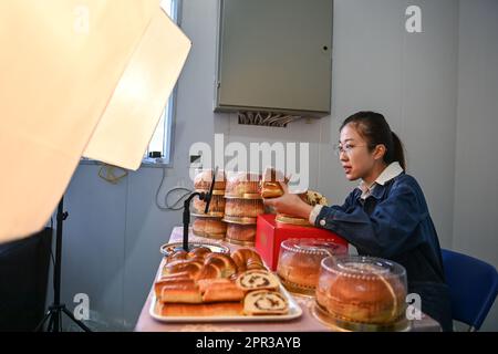 (230426) -- TACHENG, April 26, 2023 (Xinhua) -- An employee sells Tacheng cheese bread through livestreaming at Jiangqu food company in Tacheng, northwest China's Xinjiang Uygur Autonomous Region, April 1, 2023. Located on the border of China and Kazakhstan, the small city of Tacheng is home to people of 25 ethnic groups. Wang Huipeng and his wife opened a bakery here in 2016. Now the bakery has developed into a small food factory named Jiangqu with employees coming from 9 different ethnic groups. Many of their products are local favorites, among which their signature Tacheng cheese bread is Stock Photo