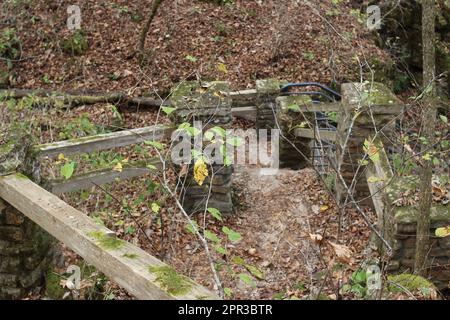 nature trail at the Ozark National Scenic Riverways - Greer Spring, Mark Twain National Forest Stock Photo