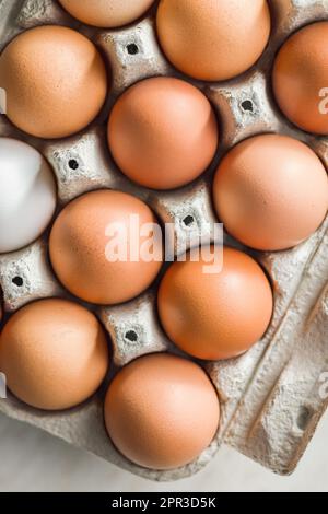 Whole chicken eggs in the eggbox. Top view. Stock Photo