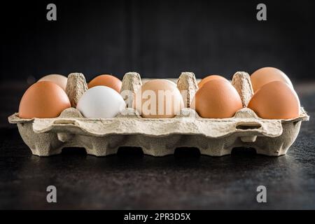 Whole chicken eggs in the eggbox. Stock Photo