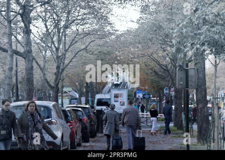 Paris, France - September 23, 2017: Parisian Boulevard with plane trees filled with vehicles, pedestrians Stock Photo