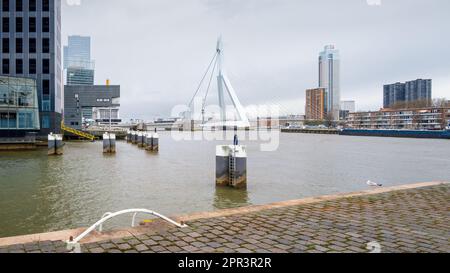 Rotterdam, Netherlands - Erasmus Bridge by Ben van Berkel with Bridgewatcher's House at Kop van Zuid by Bolles Wilson over River Maas Stock Photo