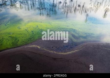 Aerial view of of dead trees, green algae and dark soil along the shoreline of a foggy inlet at Lake Eildon in Victoria, Australia Stock Photo