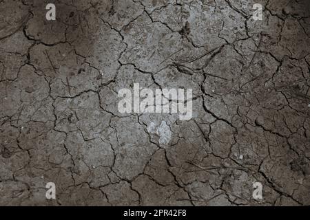 summer and spring, due to climate change, they are being very hot and with little rain, making the soil dry and creating problems to farmers and ranchers Stock Photo