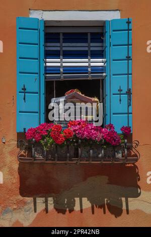 window with flowers and a bird cage , Italy, Burano, Venice Stock Photo