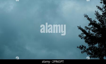 dramatic stormy cloudy sky and tree as backdrop Stock Photo
