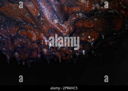 Lava stalactites on the ceiling of Gruta das Torres lava tubes in Pico island, Azores, Portugal Stock Photo