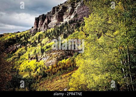 Fall color in the San Juan mountains near Telluride, Colorado. Stock Photo