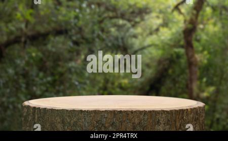 Wood tabletop podium floor in outdoors green leaf tropical forest nature landscape background.Organic healthy natural product present placement pedest Stock Photo