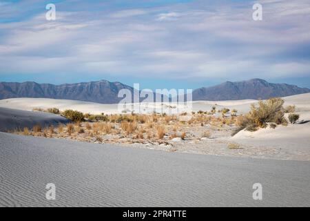 The gypsum sands form dunes at the White Sands National Park in New Mexico. Stock Photo