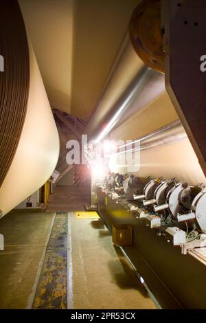 Big rolls of paper coming out of the machinery in a paper mill plant. Stock Photo