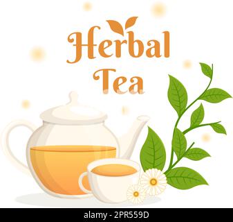 Herbal Tea with Chamomile Leaves of Health Drink Green to Increase Endurance in Template Hand Drawn Cartoon Flat Background Illustration Stock Vector